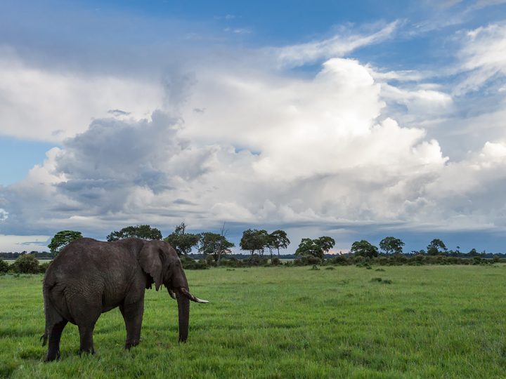 SIGMA Fotoreise 2015 - Kenia