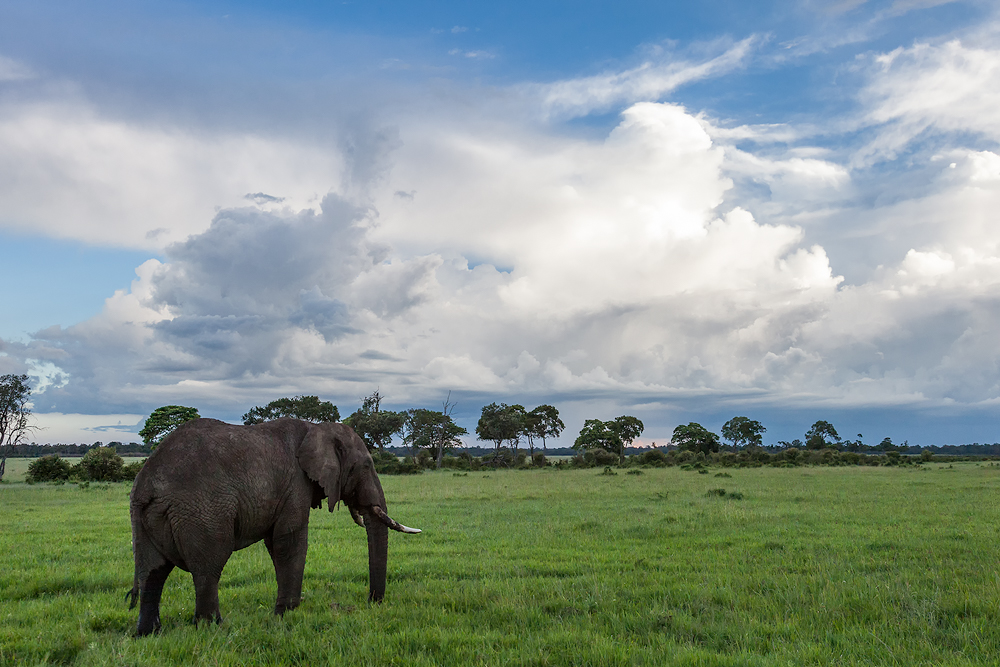 SIGMA Fotoreise 2015 - Kenia