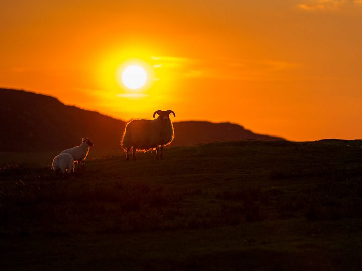 Landschaftsfotografie - SIGMA 50-100mm F1,8 DC HSM | Art ©Robert Sommer