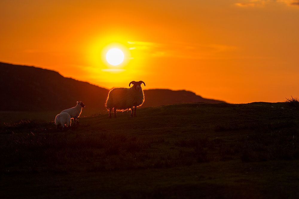 Landschaftsfotografie - SIGMA 50-100mm F1,8 DC HSM | Art ©Robert Sommer