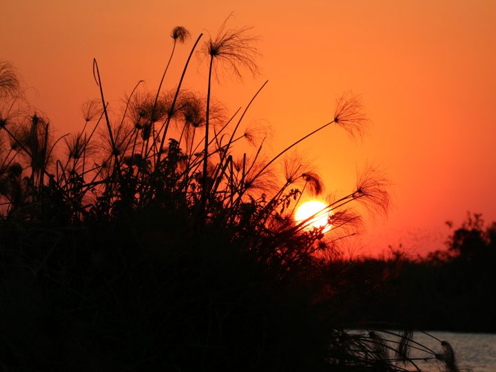 Sonnenuntergang ©Andreas Winkel