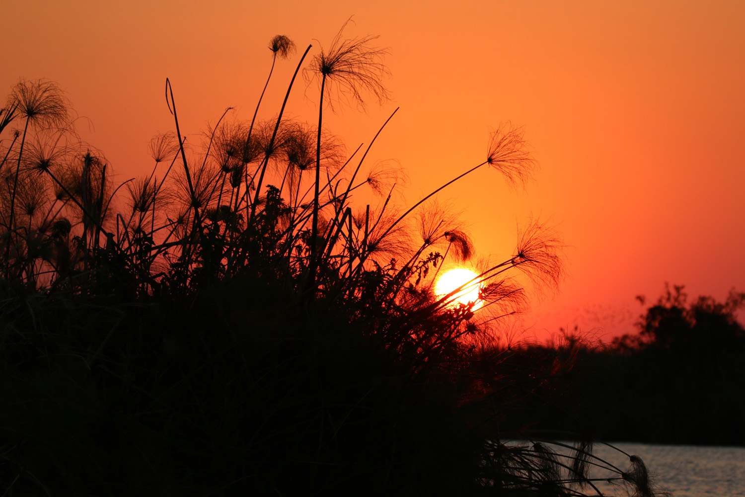 Sonnenuntergang ©Andreas Winkel