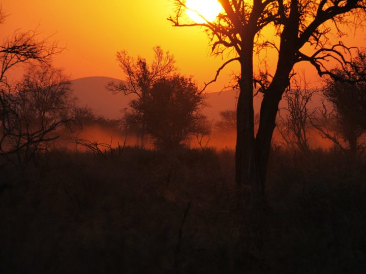 Sonnenuntergang ©Andreas Winkel