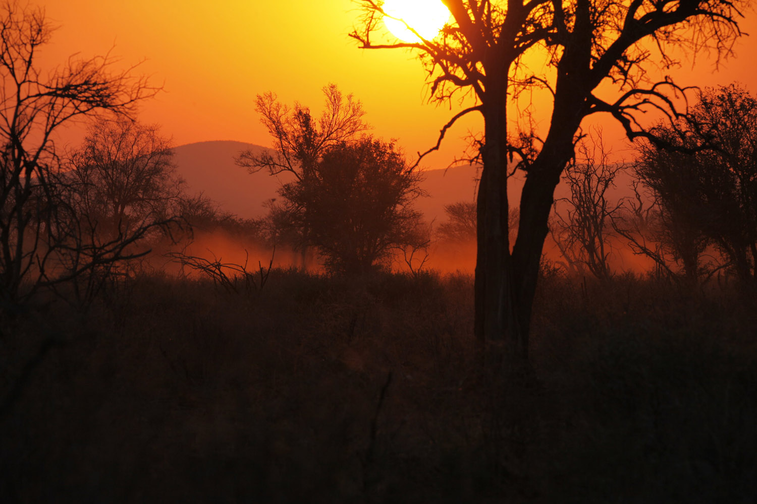 Sonnenuntergang ©Andreas Winkel