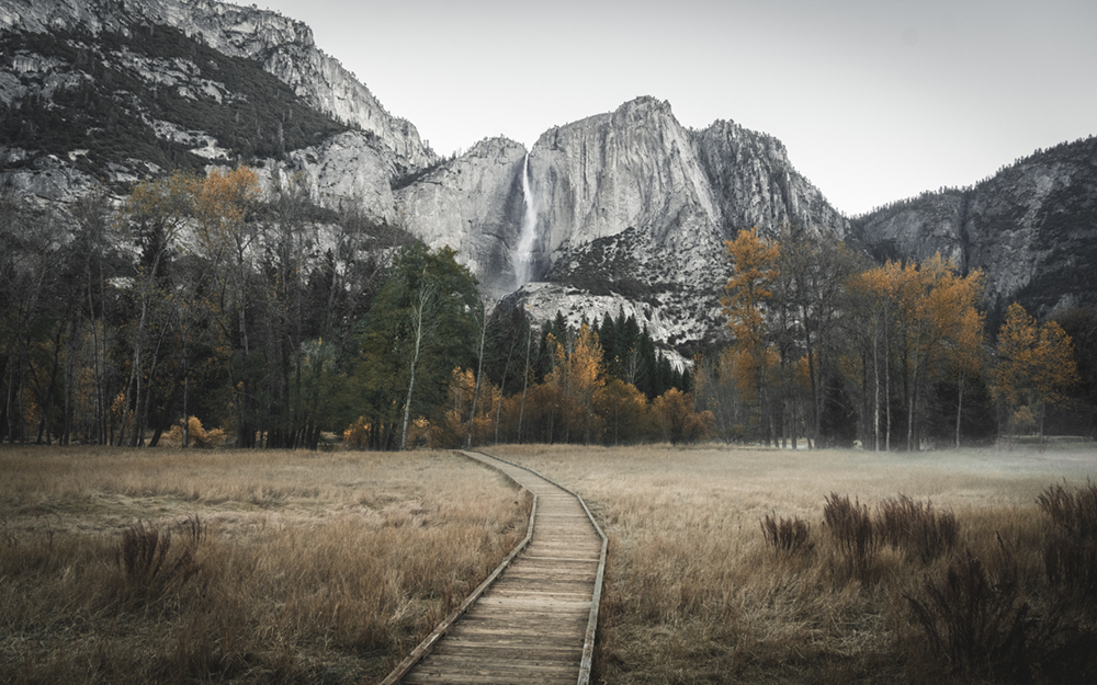 Yosemite Nationalpark © Max Muench