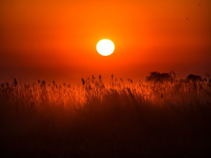 Rückblick SIGMA Fotoreise 2016 © Andreas Winkel