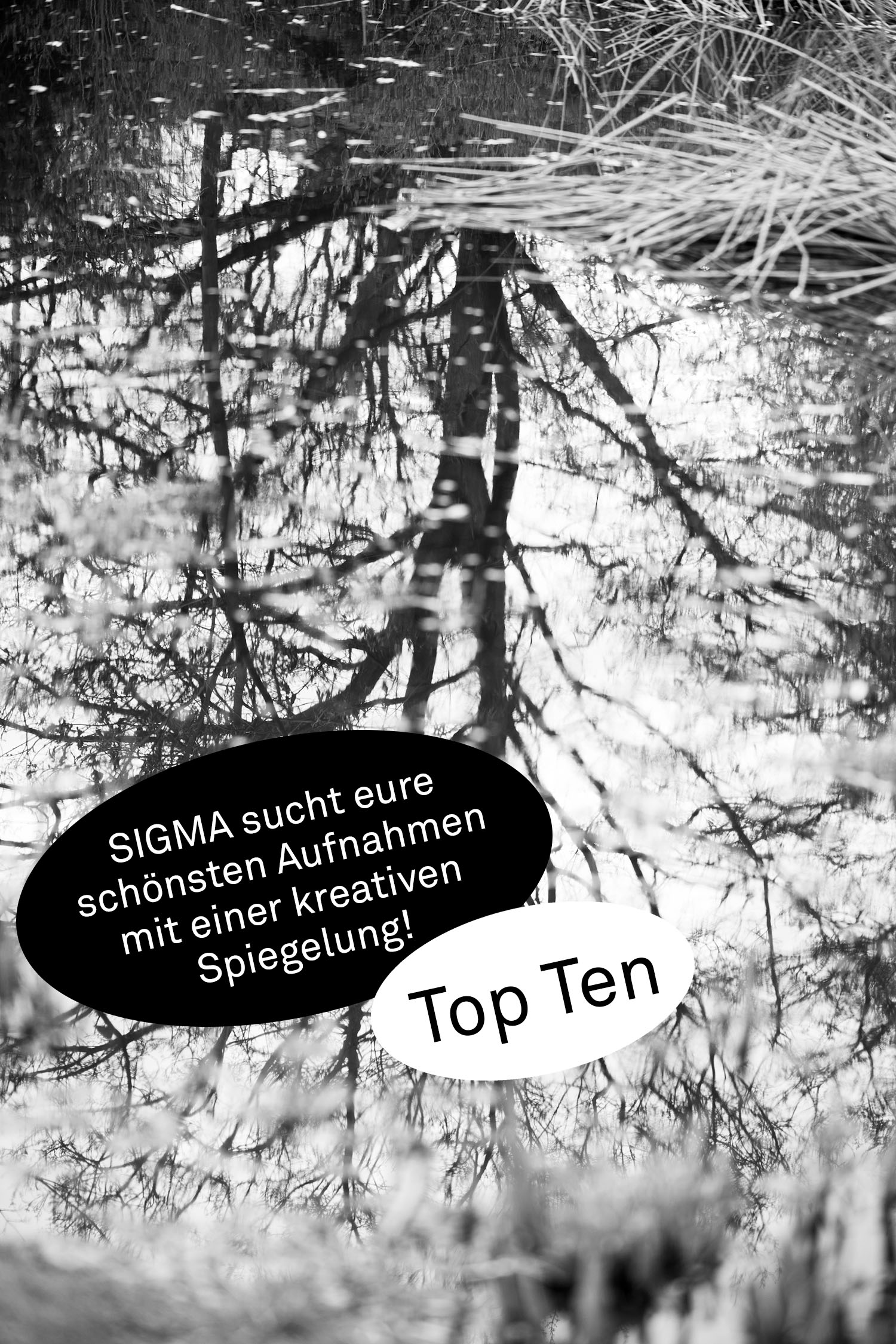 SIGMA sucht eure schönsten Aufnahmen mit einer kreativen Spiegelung! - Die Top Ten