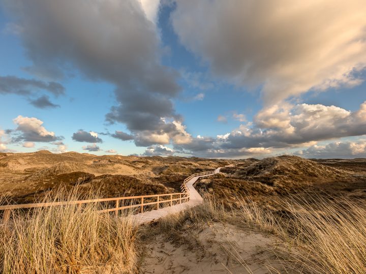 Dünenlandschaft © Robert Sommer