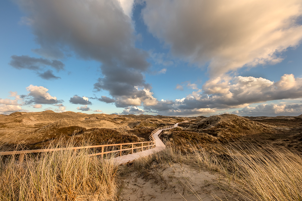 Dünenlandschaft © Robert Sommer