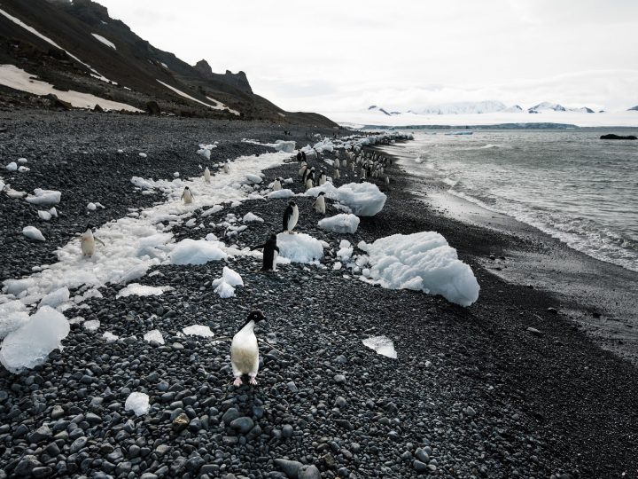 Antarctica © Hubert Neufeld