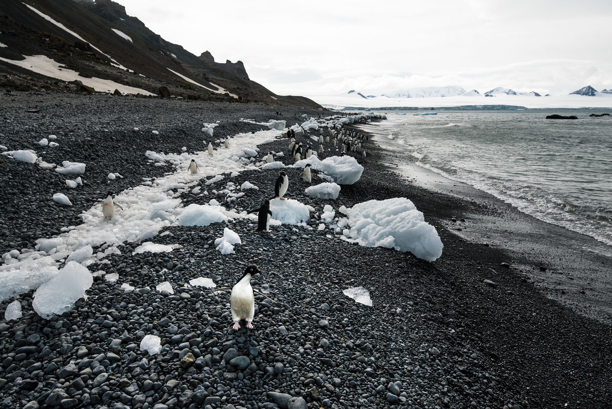 Antarctica © Hubert Neufeld