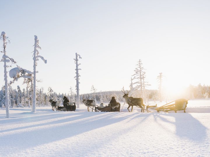 Lappland © Steven Weisbach