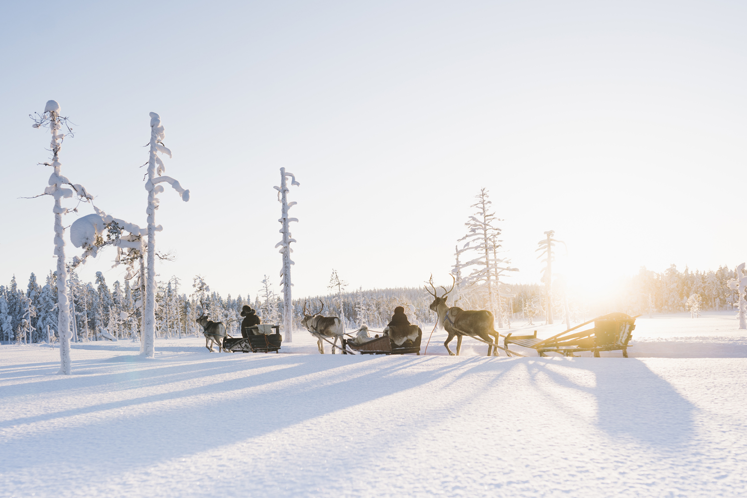 Lappland © Steven Weisbach