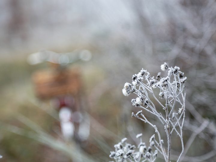 Lichtstarke Objektive für die dunkle Jahreszeit © Syl Gervais