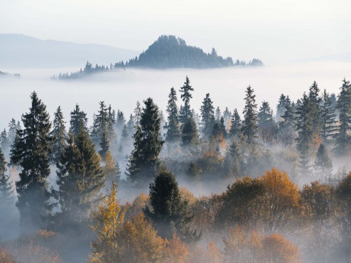 Unterwegs im ursprünglichen Polen © Johannes Hulsch