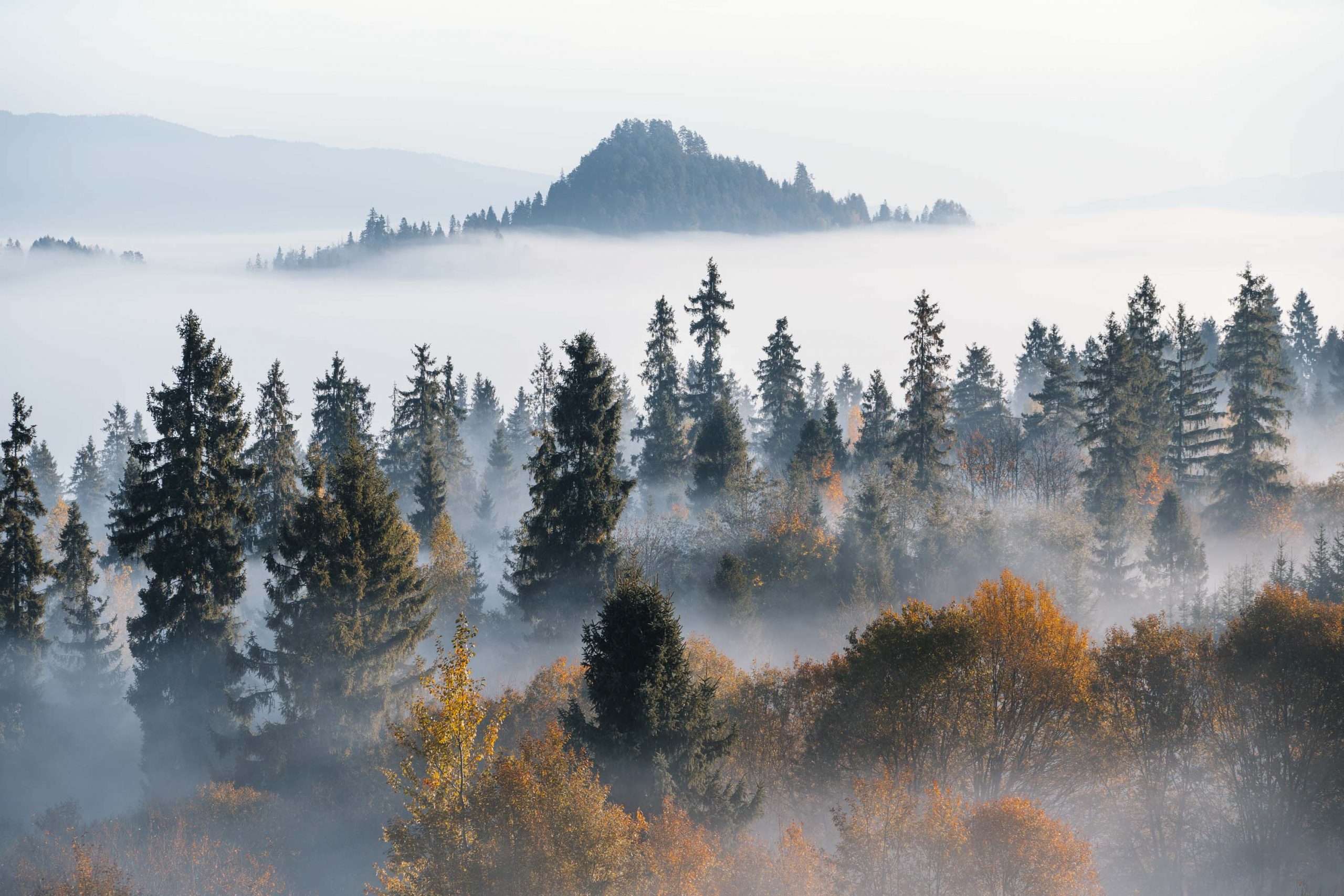 Unterwegs im ursprünglichen Polen © Johannes Hulsch