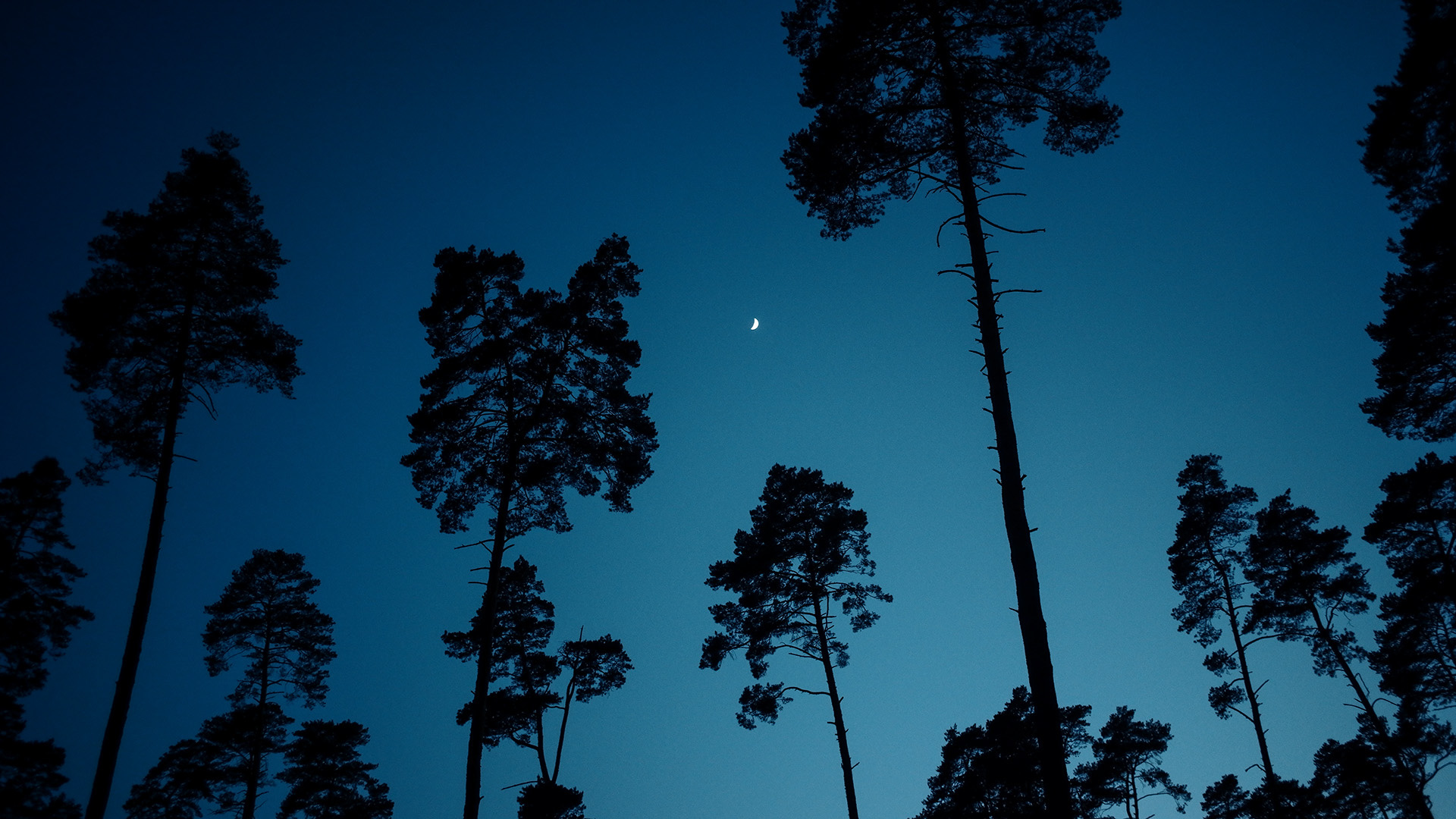 Teal & Orange mit der SIGMA fp © Christopher Schmidtke