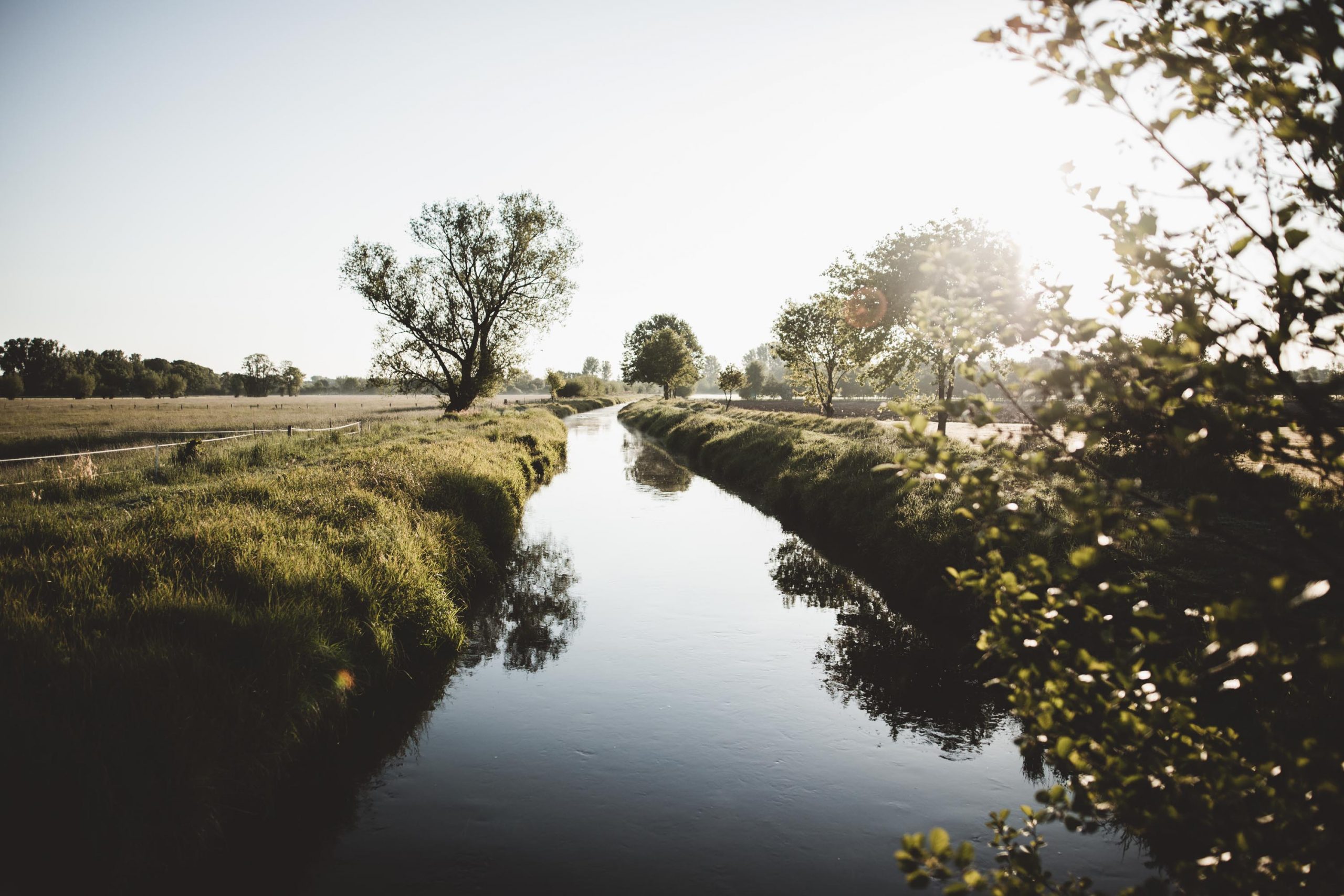 Heimatliebe © Maike Descher