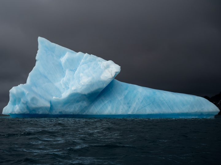 Die Antarktis bereisen mit der SIGMA fp © Hubert Neufeld