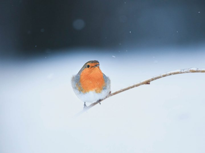 Wenn's Fotografieren keinen Spaß mehr macht © Kevin Winterhoff