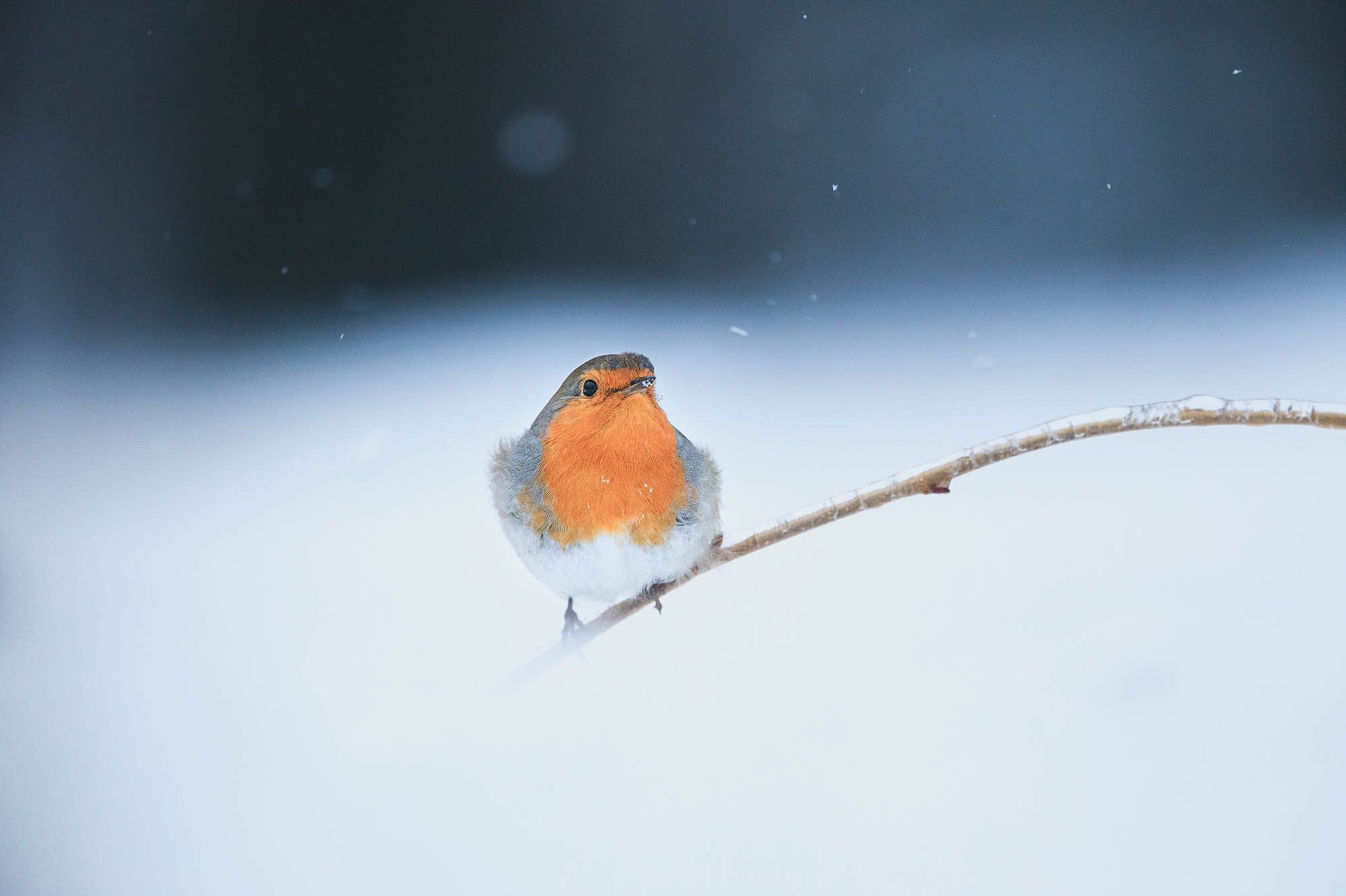 Wenn's Fotografieren keinen Spaß mehr macht © Kevin Winterhoff