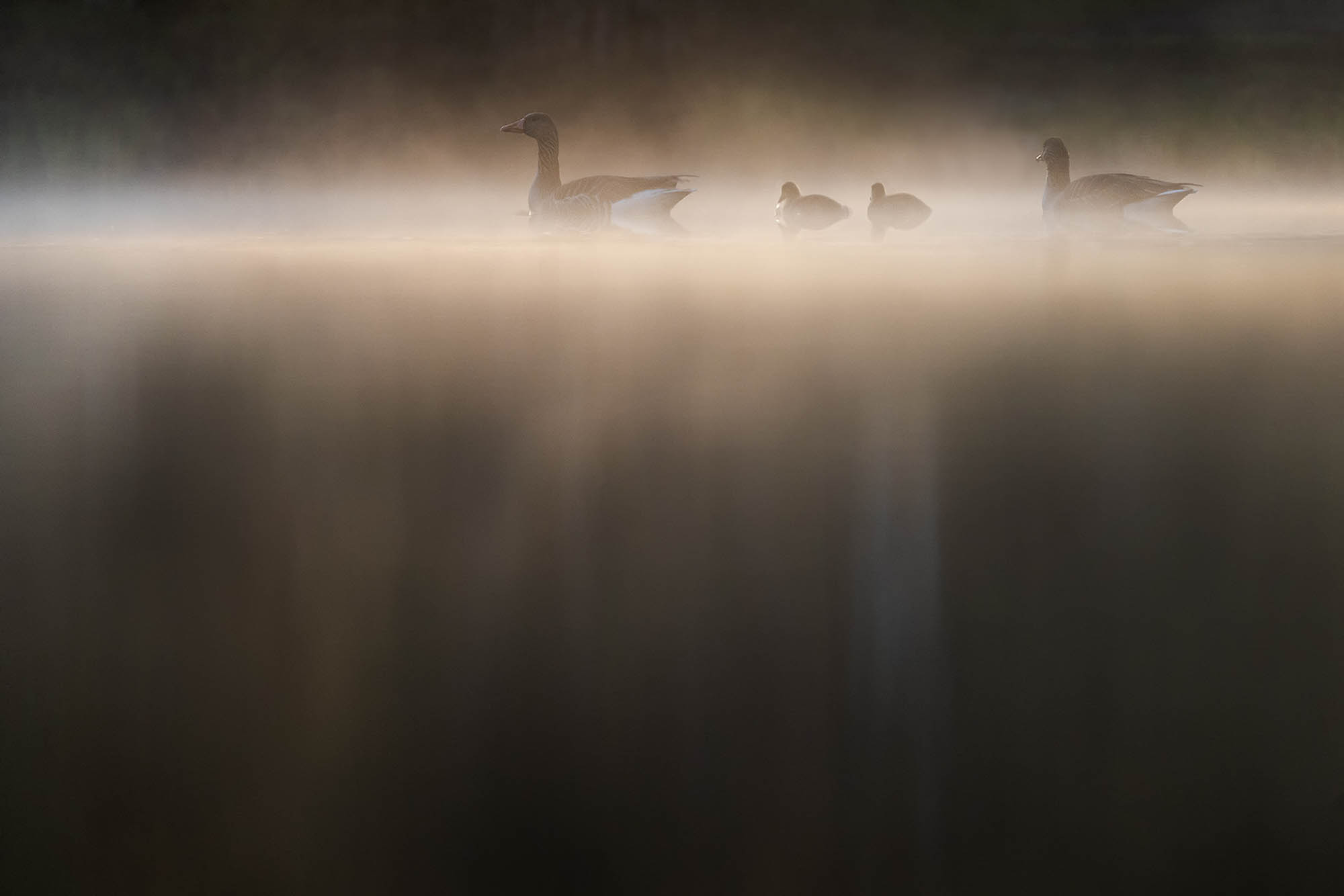 Testbericht über das SIGMA 100-400mm F5-6,3 DG DN OS | Contemporary © Robert Sommer