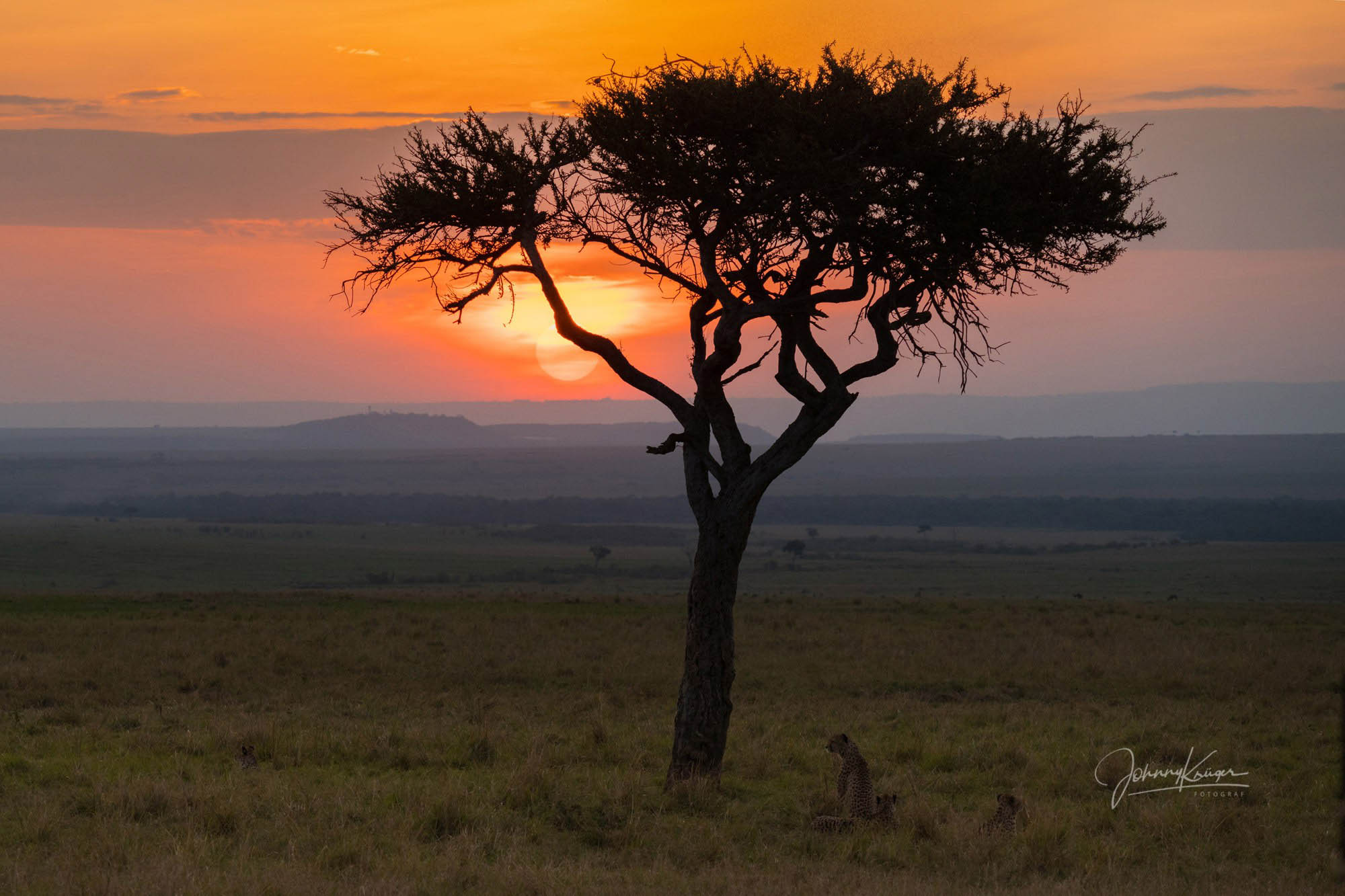 Die Maasai Mara enttäuscht nie! © Johnny Krüger