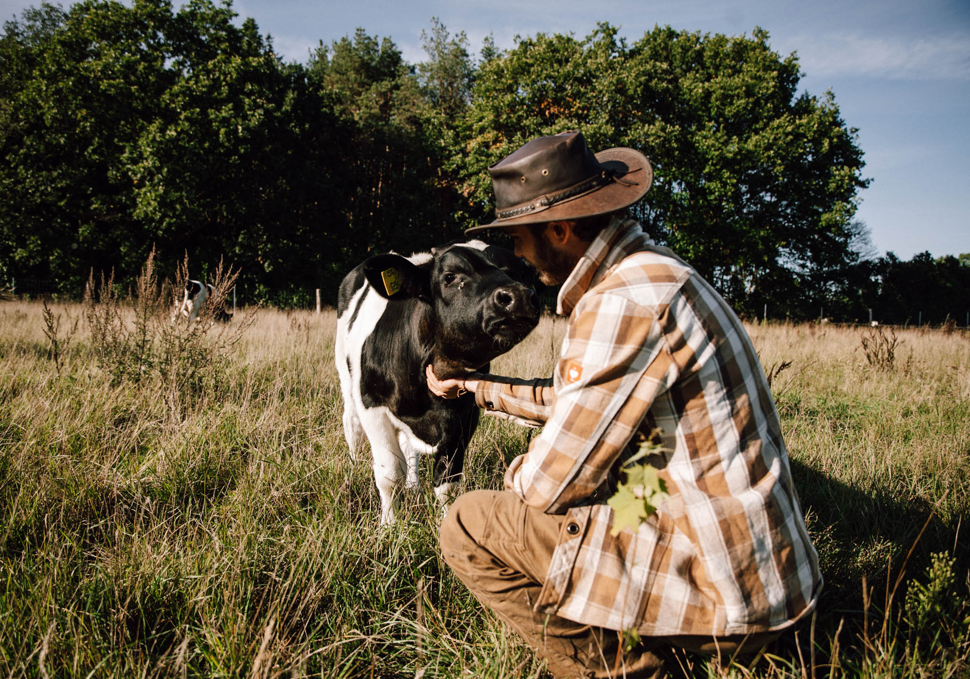 Regenerative Landwirtschaft auf dem Gut Haidehof © Leonie Hinrichs