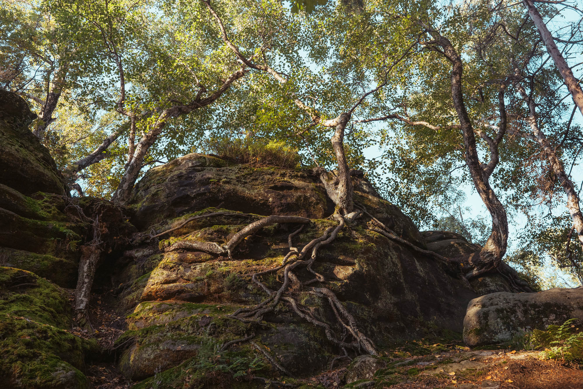 Die einzigartigen Sandsteinformationen des Elbsandsteingebirges © Johannes Hulsch