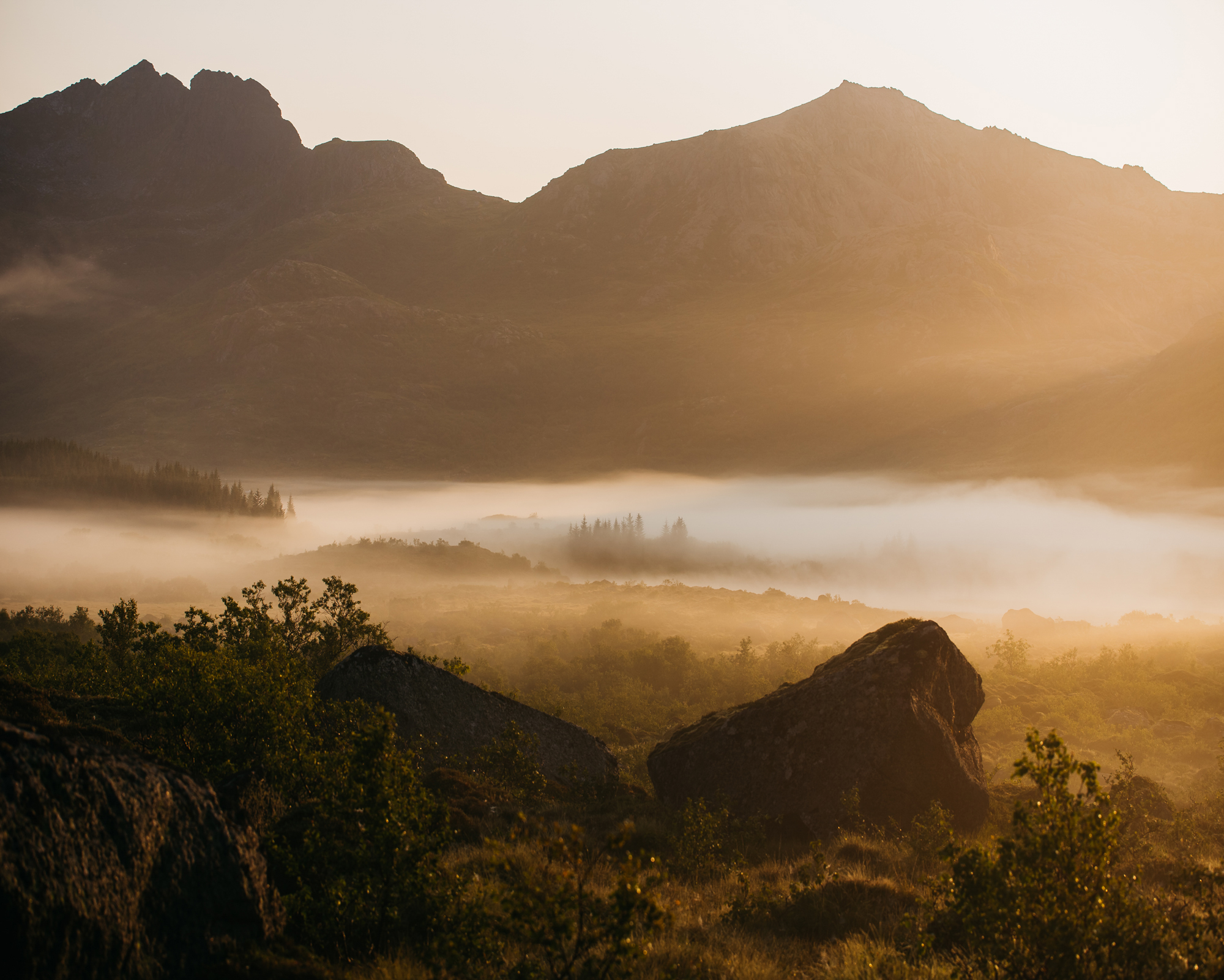 Auf Nebel-Suche. Drei Tipps zur Nebelfotografie © Florian Wenzel