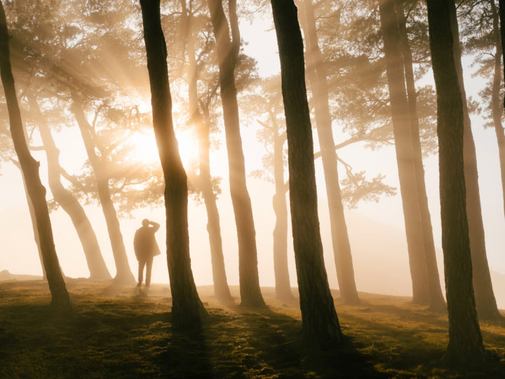 Auf Nebel-Suche. Drei Tipps zur Nebelfotografie © Florian Wenzel