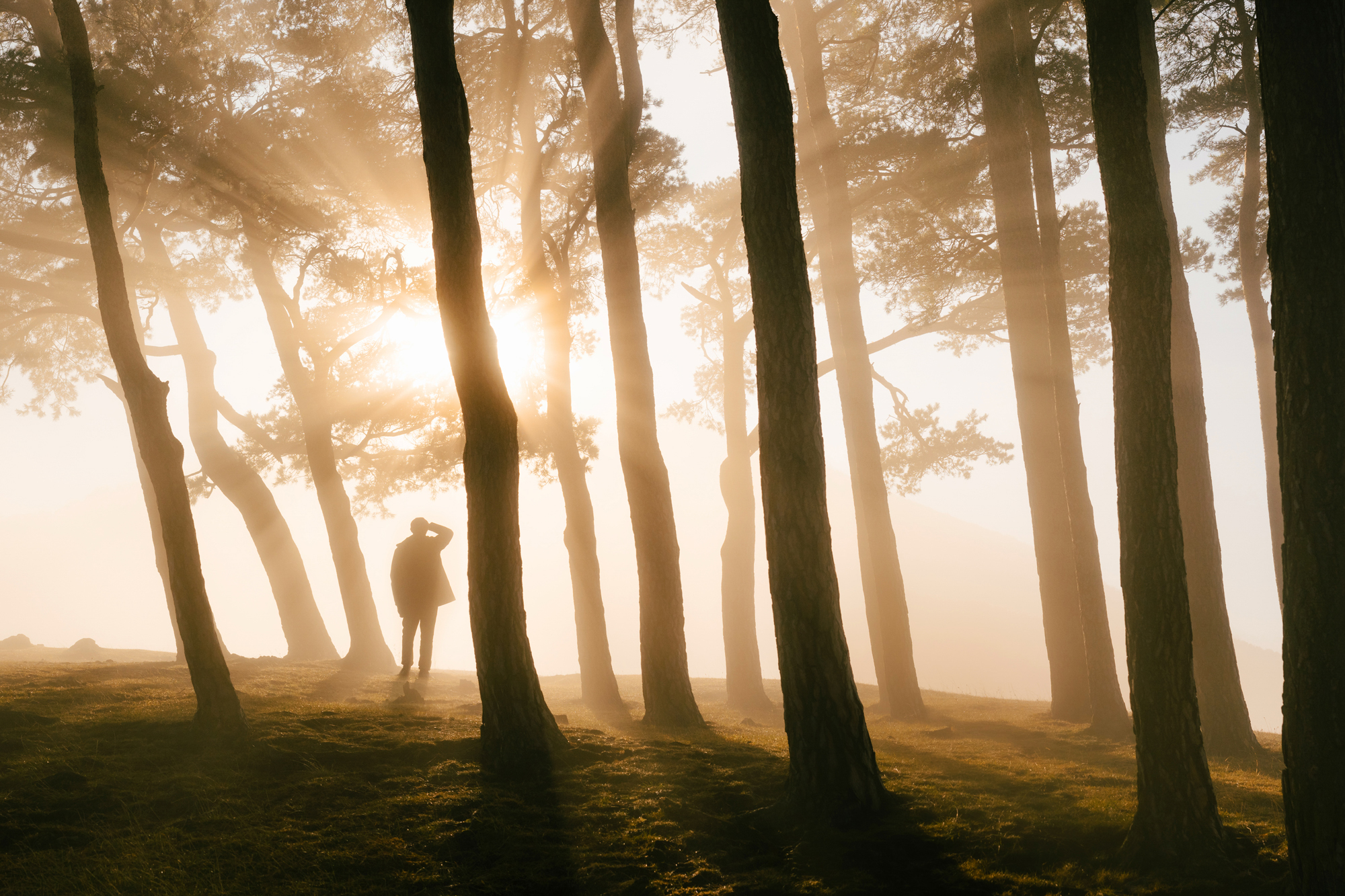 Auf Nebel-Suche. Drei Tipps zur Nebelfotografie © Florian Wenzel